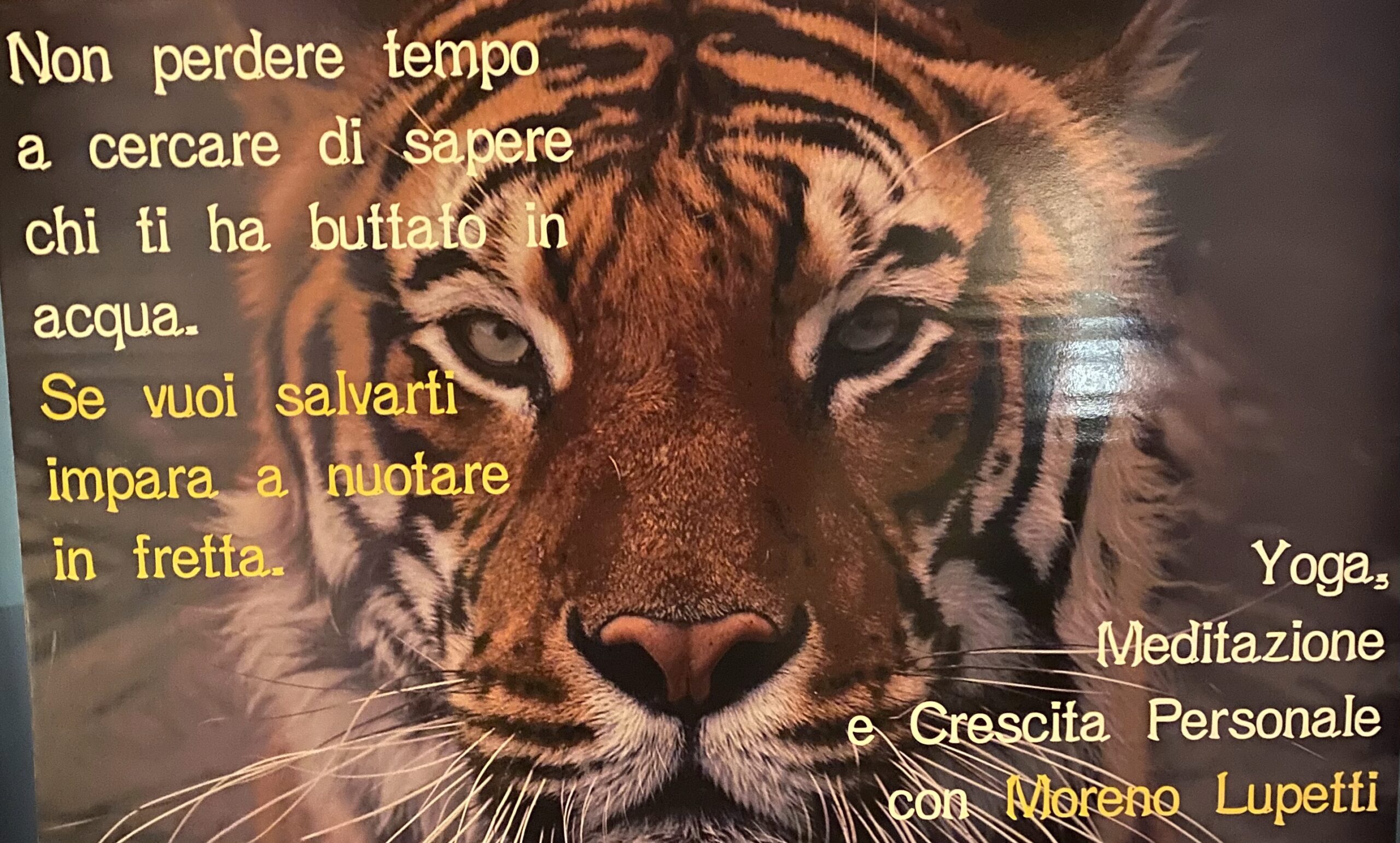 IL CLIMA